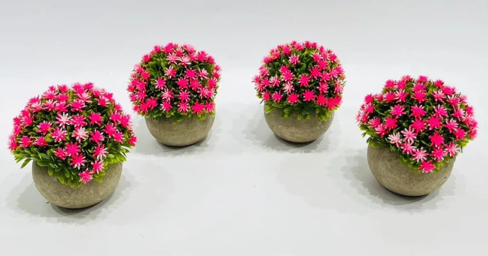 Bonsai Style Display Pot