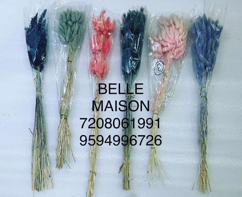 Bunny Tail Decorative Stems
