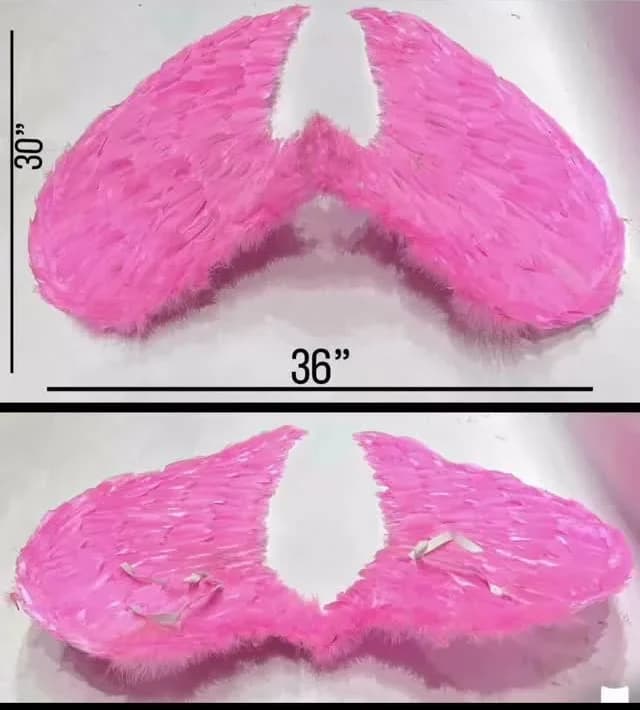 Decorative Angel Wings Prop