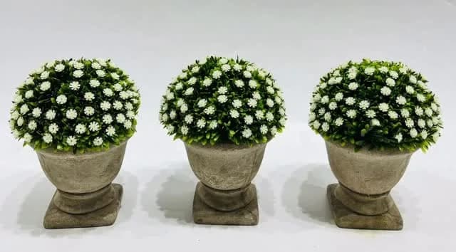 Bonsai Style Decorative Plant Collection
