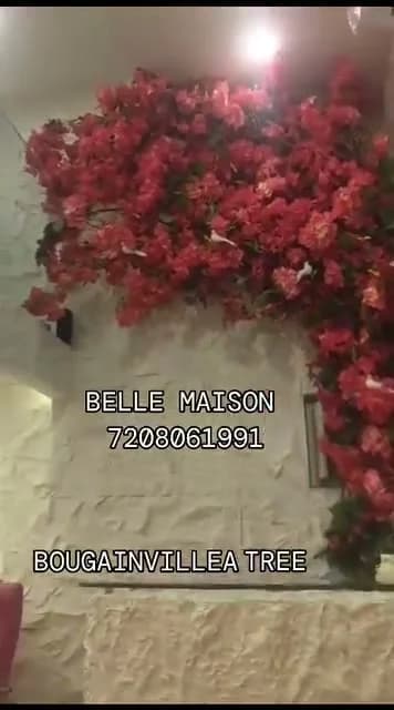 Bougainvillea Decorative Tree
