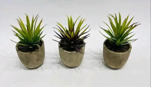 Cactus Style Decorative Plant Pot