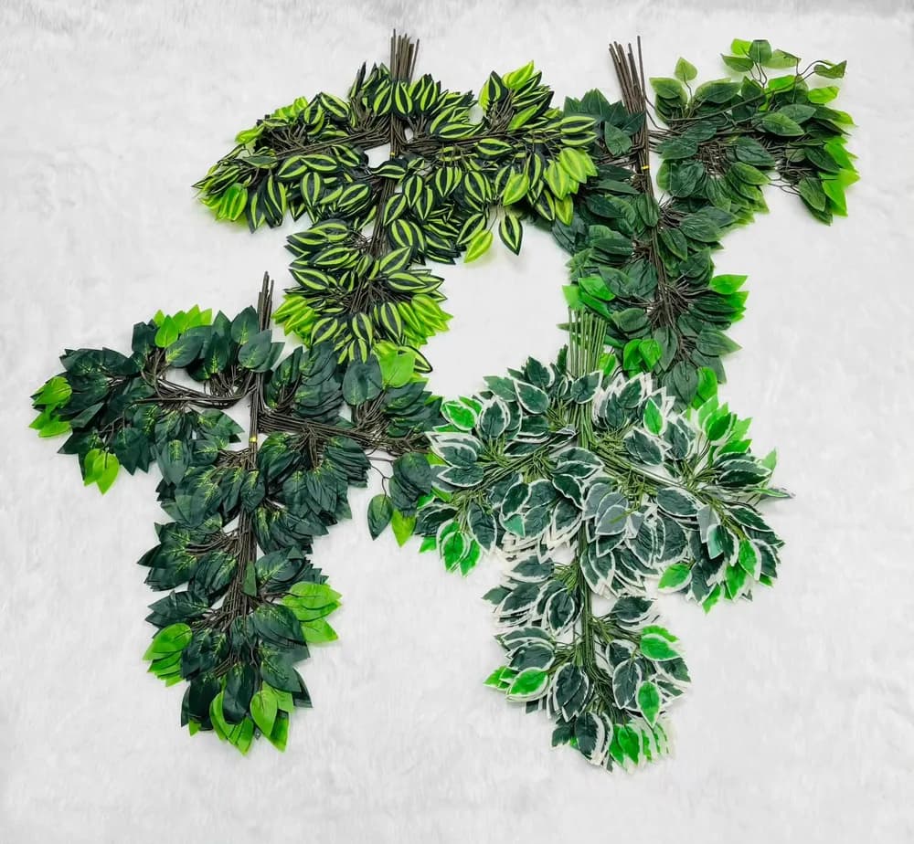 Ficus Decorative Leaves