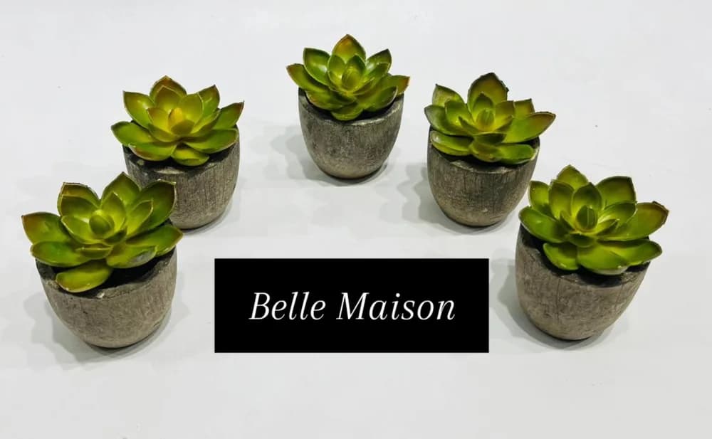 Five Piece Artificial Succulent Plant Set