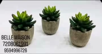 Potted Succulent Style Plant Collection