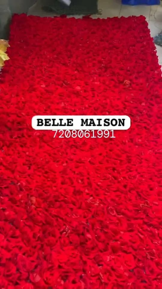 Red Velvet Rose Wall Designs