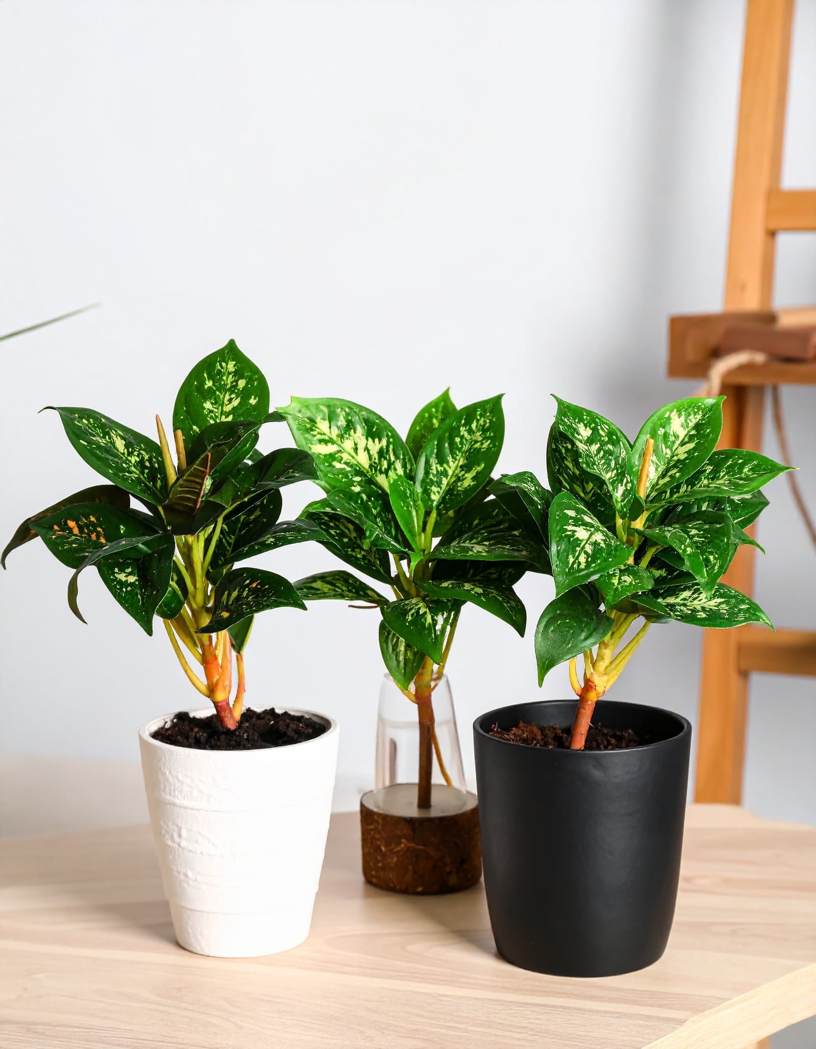 18” Small 4 x 1 Plant With 25 Leaves (Set of 3 Designs) H-45CM