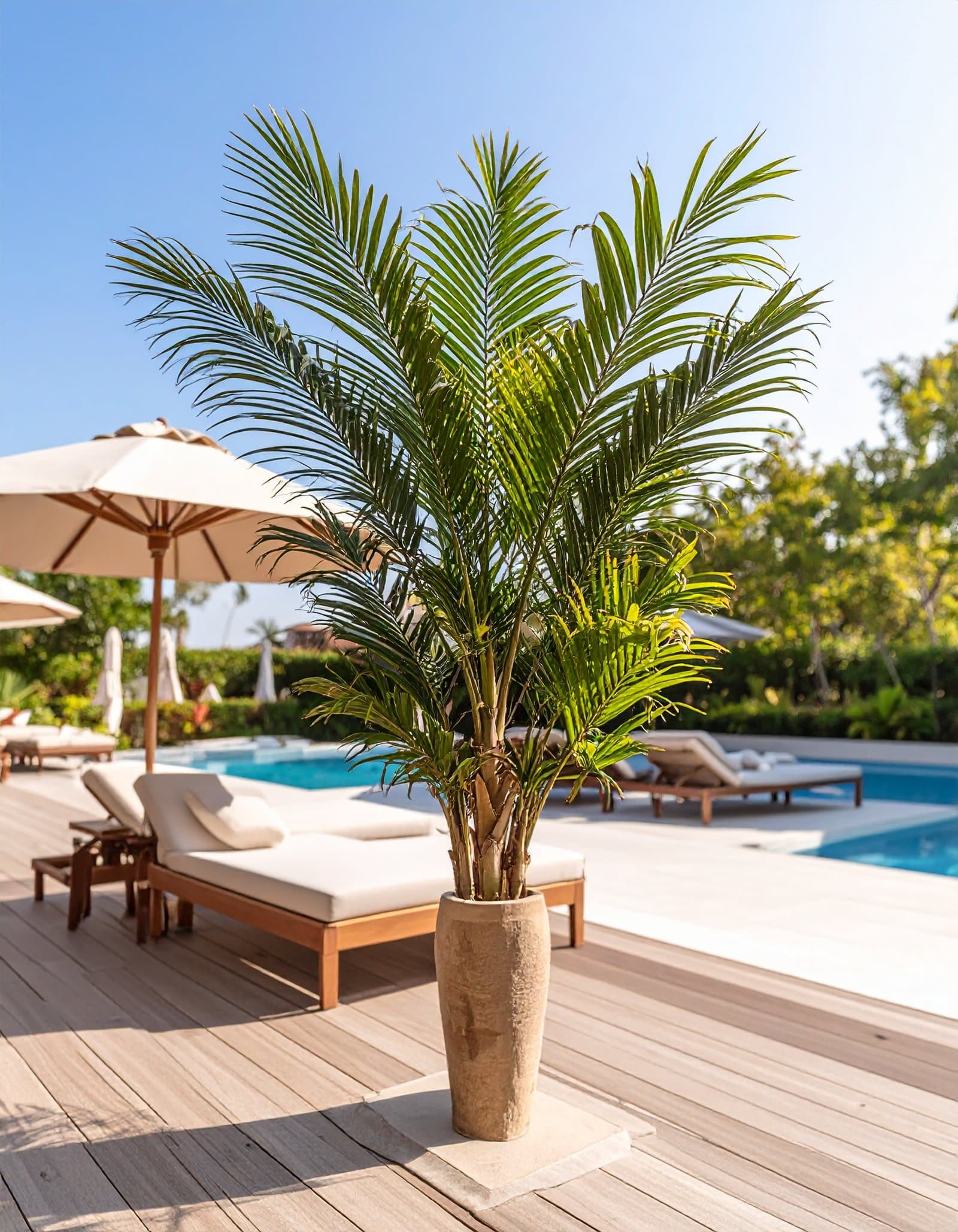 195 CM PLASTIC ARECA PALM TREE WITH 15 LEAVES. (UVP).