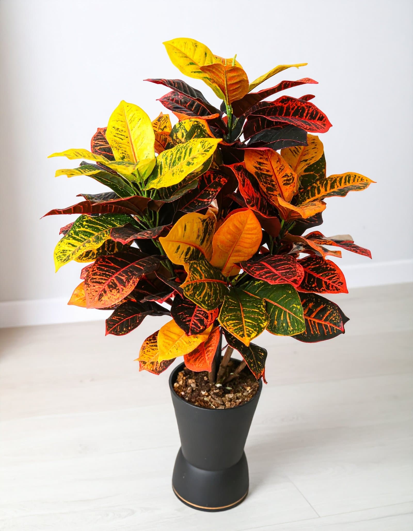 3 Ft 5 X 1 Plant With 125 Natural Touch Leaves (Croton) H -90Cm