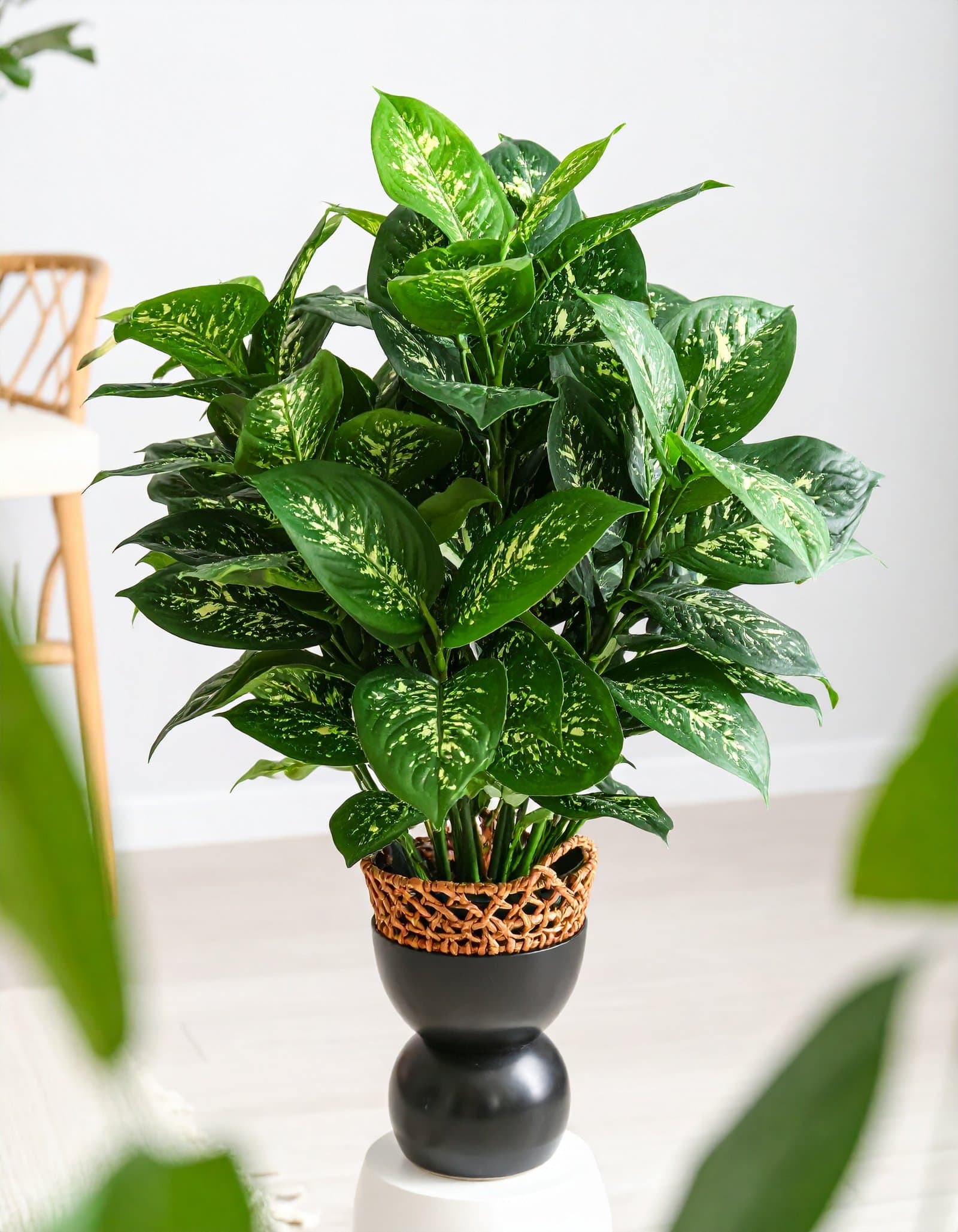 3 Ft 5 X 1 Plant With 125 Natural Touch Leaves (Diffen Leaves) H -90CM