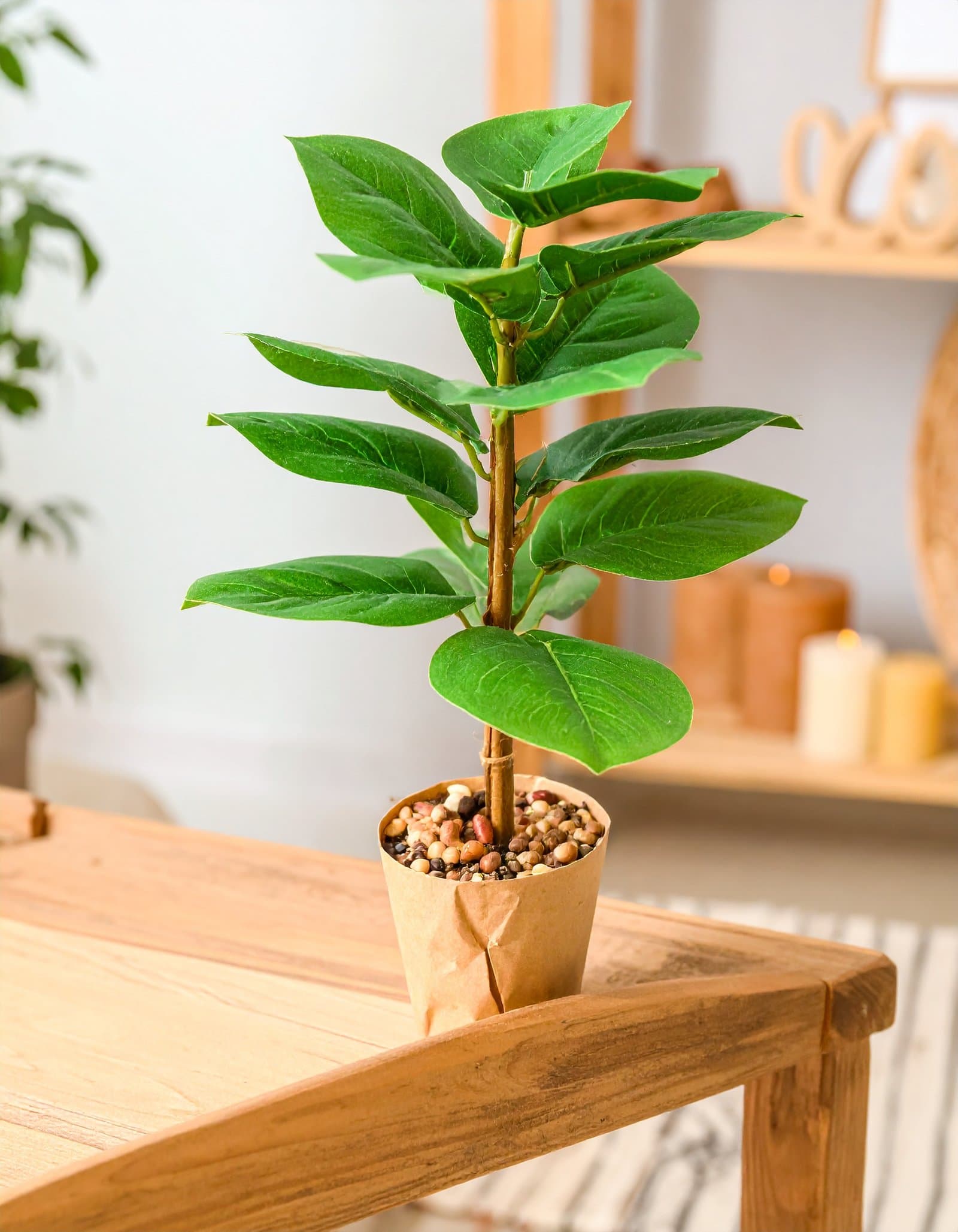 3 Ft Money Plant Coir Plant With 18 Real Touch Leaves (H-90CM)