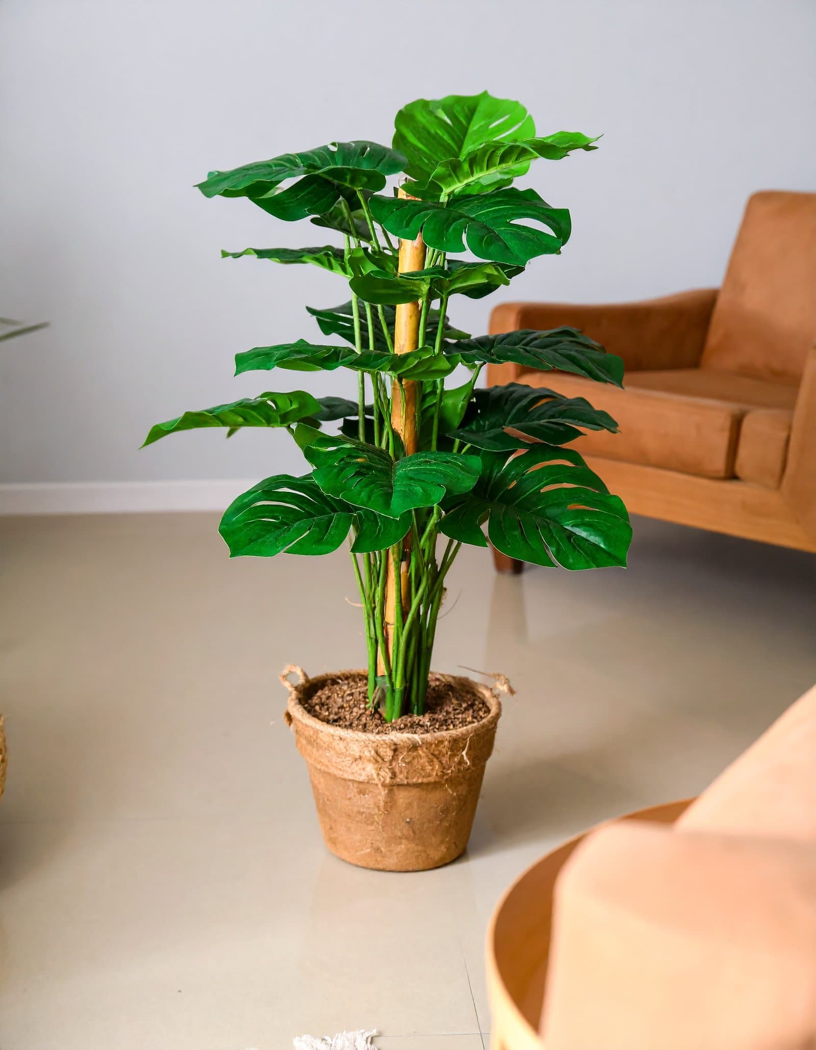 3 Ft Split Philo Coir Plant With 18 Real Touch Leaves H-90Cm