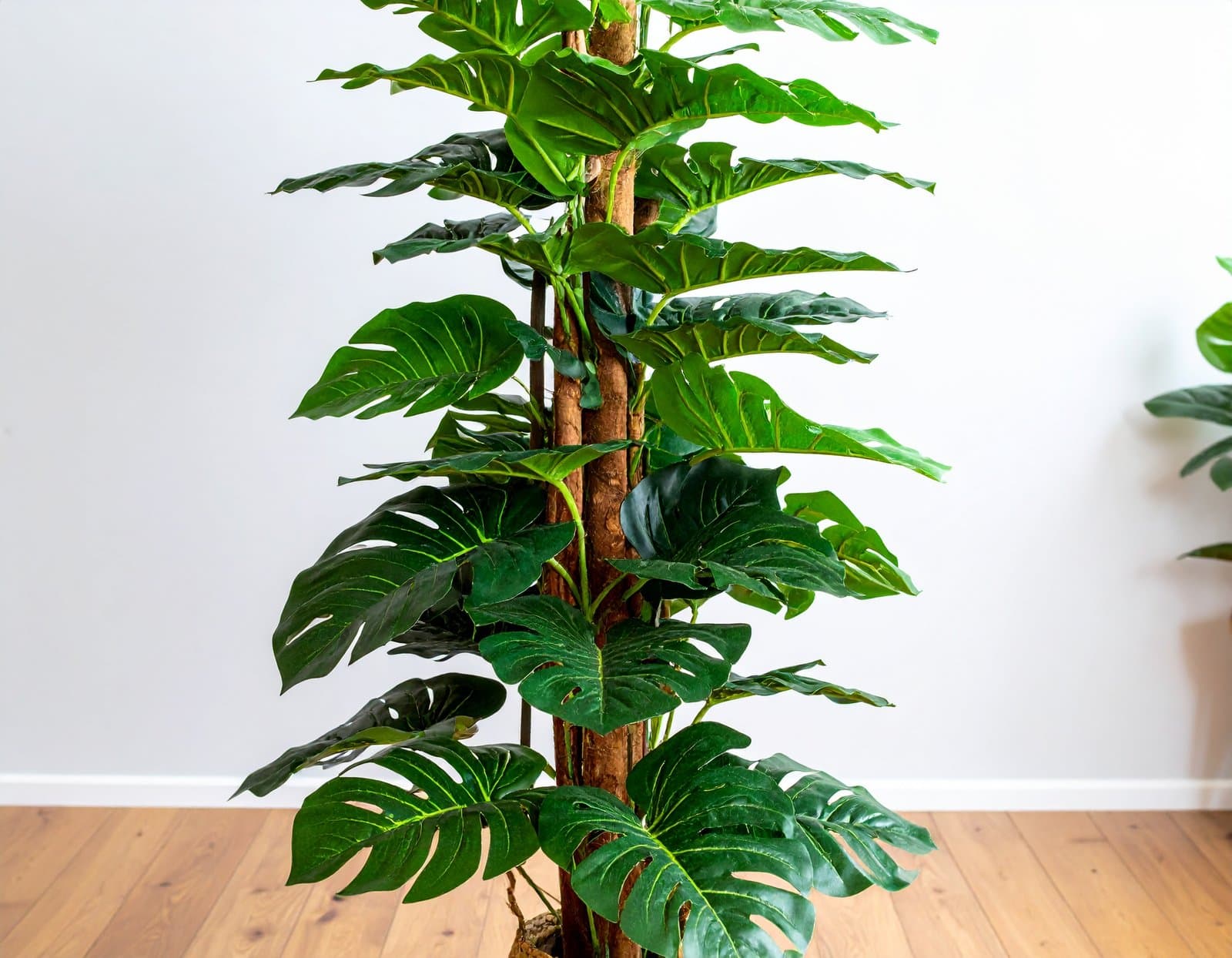 4 Ft Jumbo Real Touch Split Philo Leaves Plant H-120CM