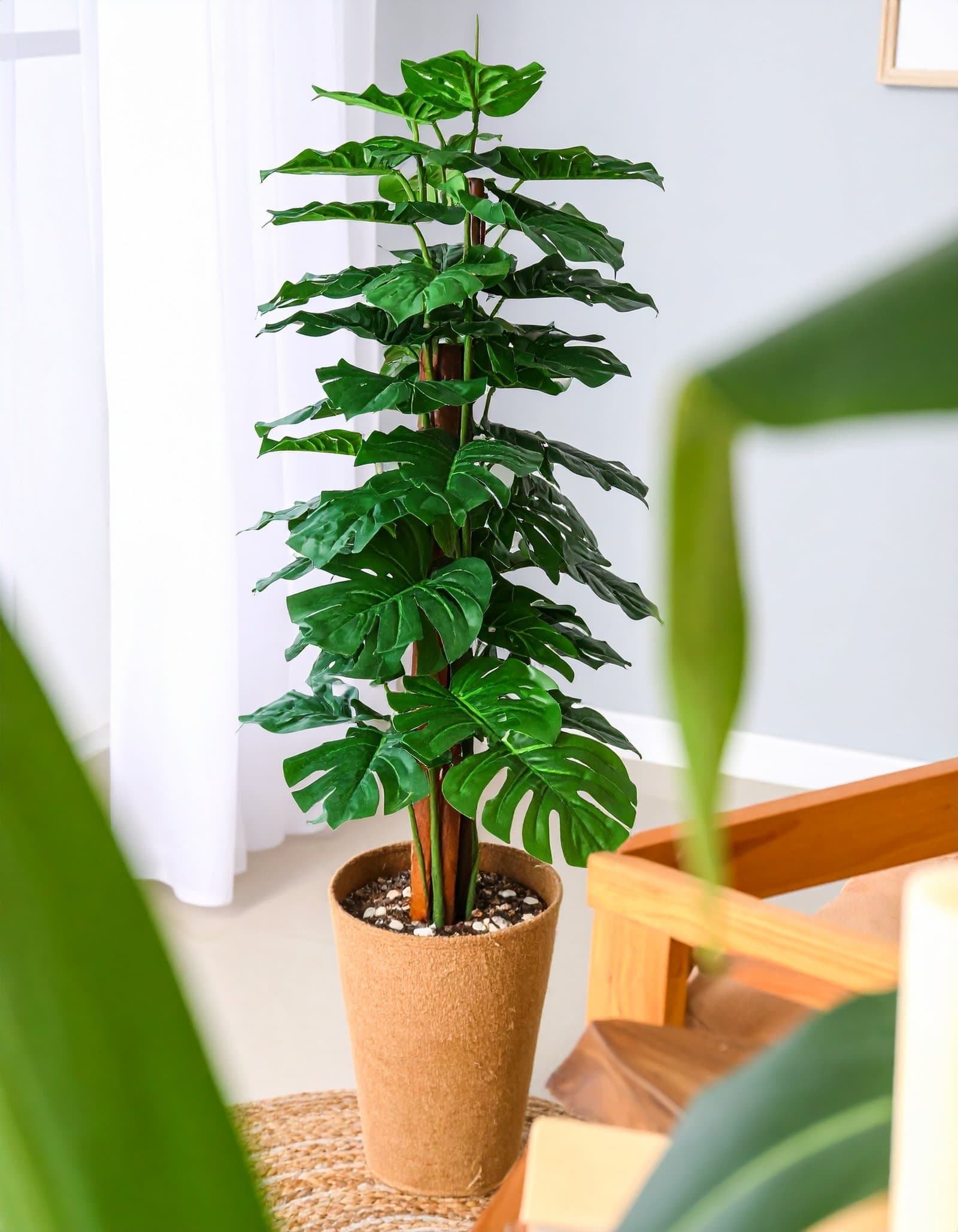 4 Ft Monstera Coir Plant With 48 Real Touch Leaves H-120CM