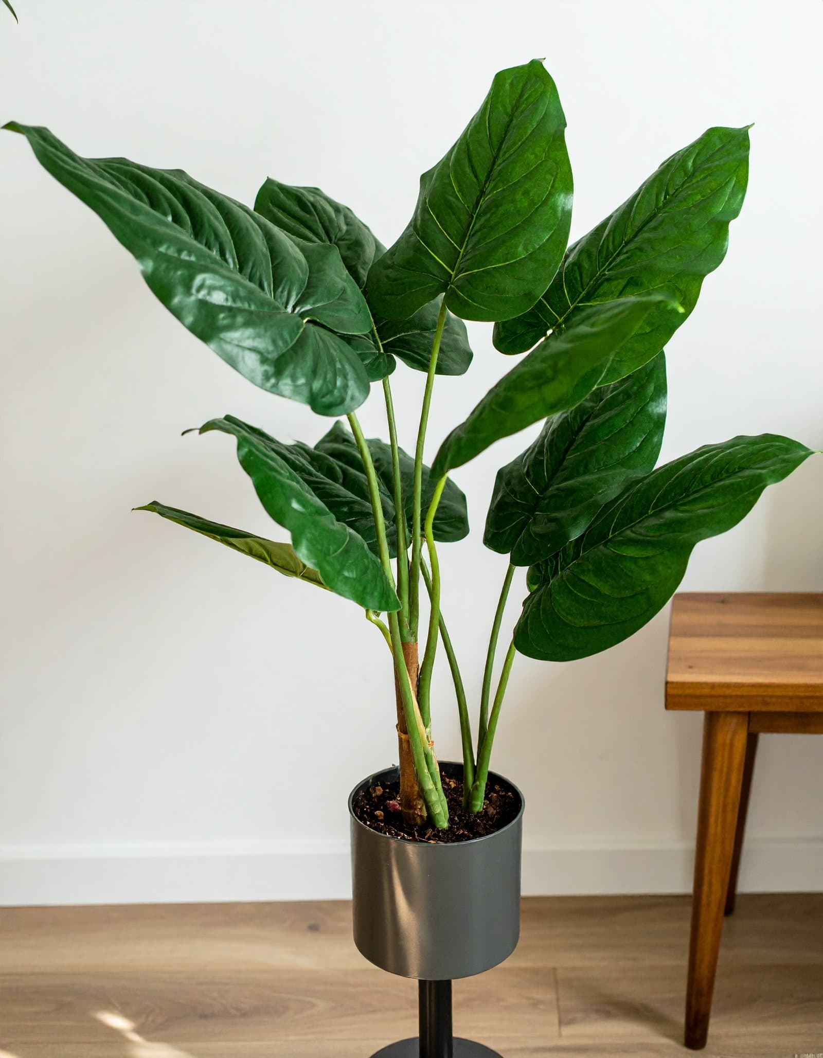 44″ 3 x 1 Jumbo Real Touch Betel Leaves Plant H-110CM