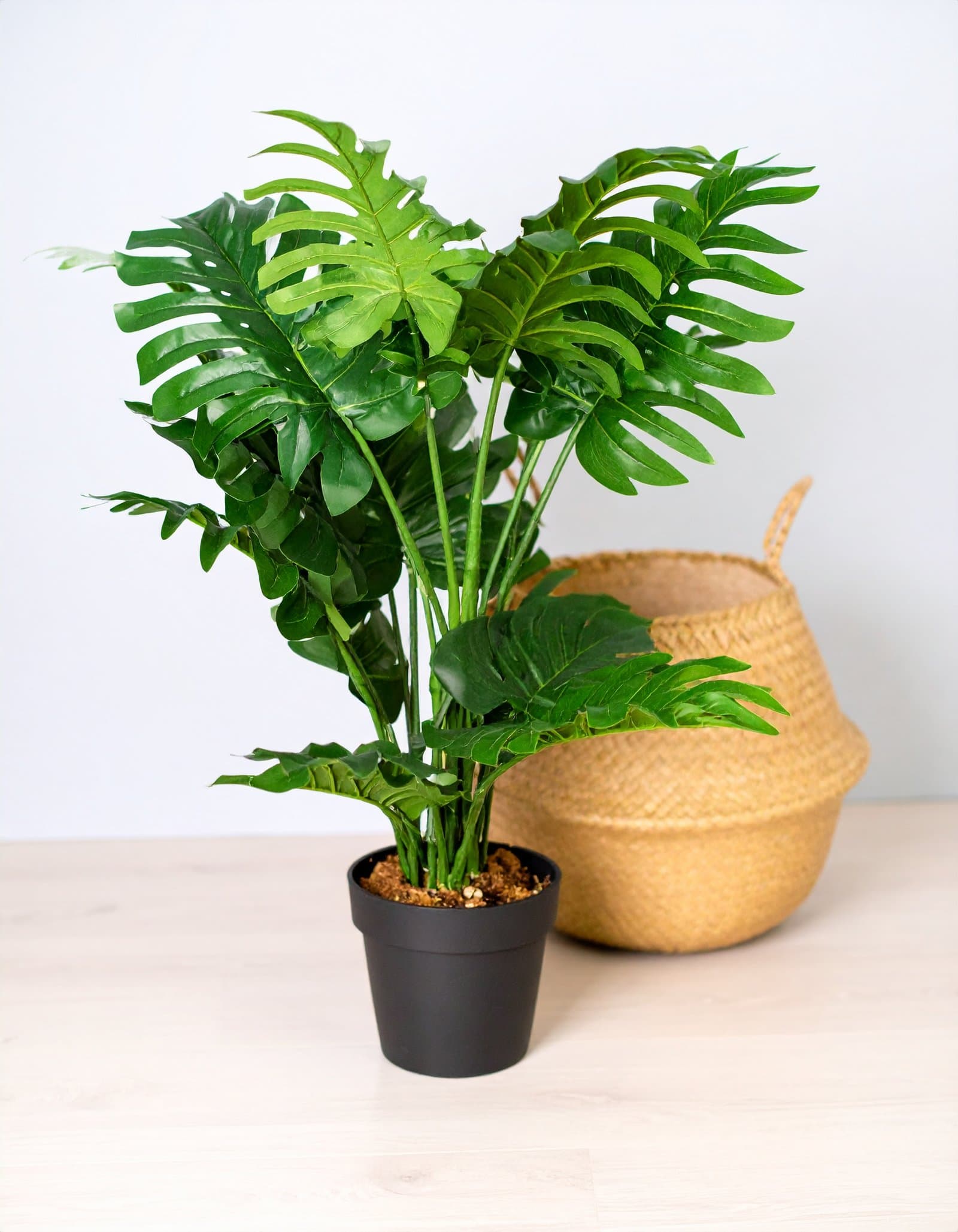 44″ 4 x 1 Jumbo Real Touch Monstera Leaves Plant H-110CM