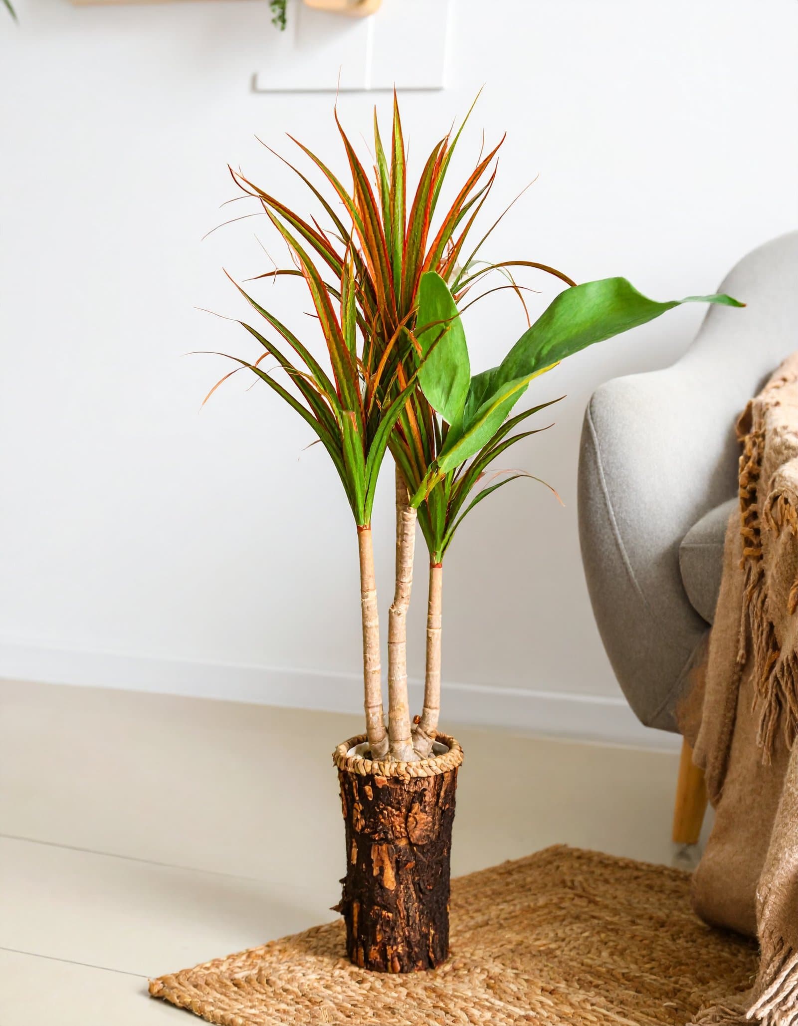 5 Ft 3 X 1 Dracaena Plant With Fibre Trunk (Green + Orange) H-150CM