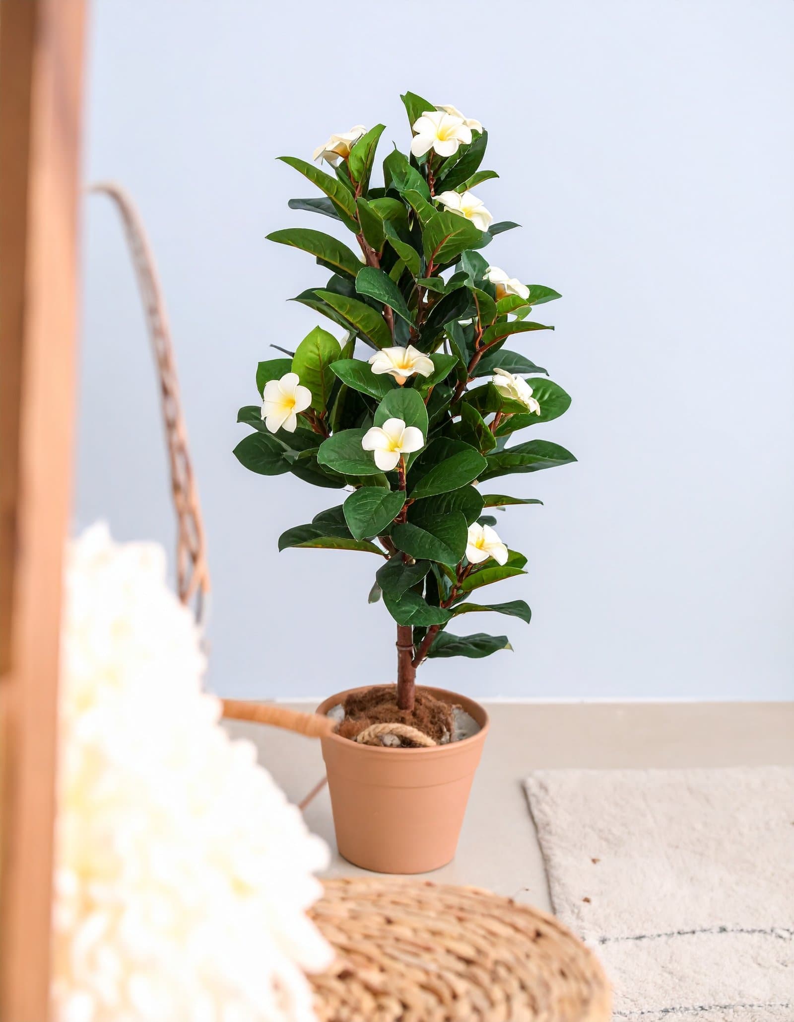 5 Ft Frangipani Tree With Real Touch Leaves (Cream) H-150CM