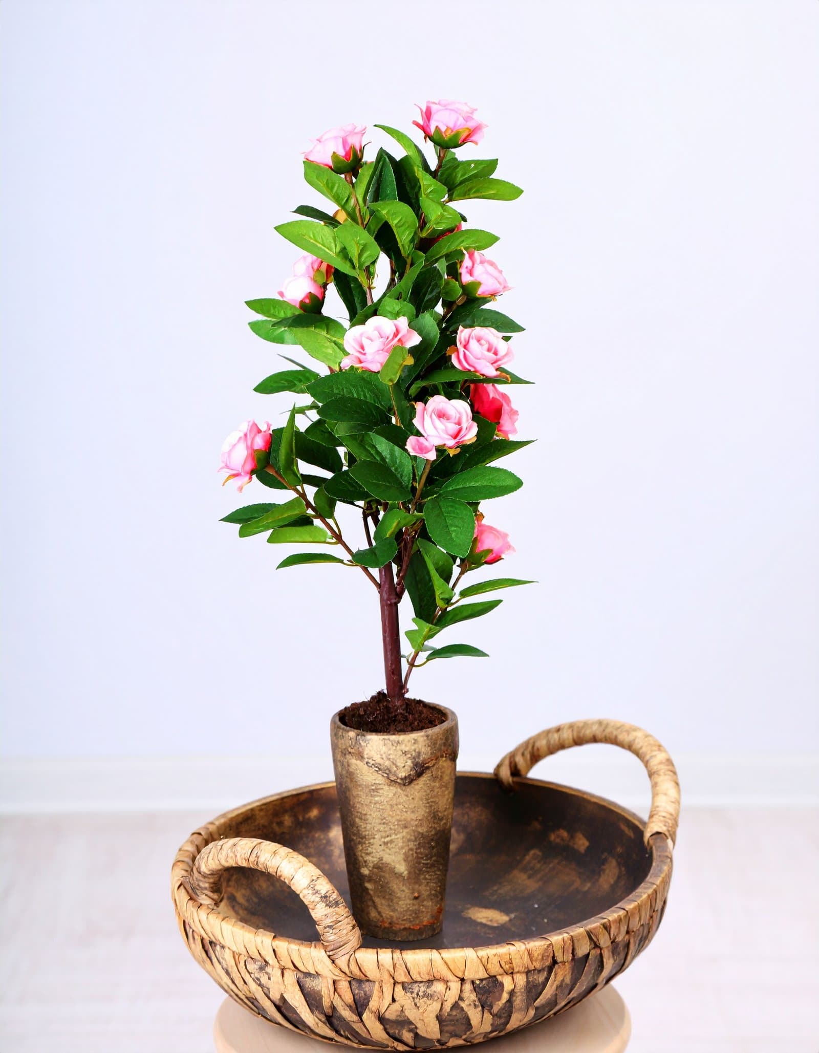 5 Ft Frangipani Tree With Real Touch Leaves (Pink) H-150CM
