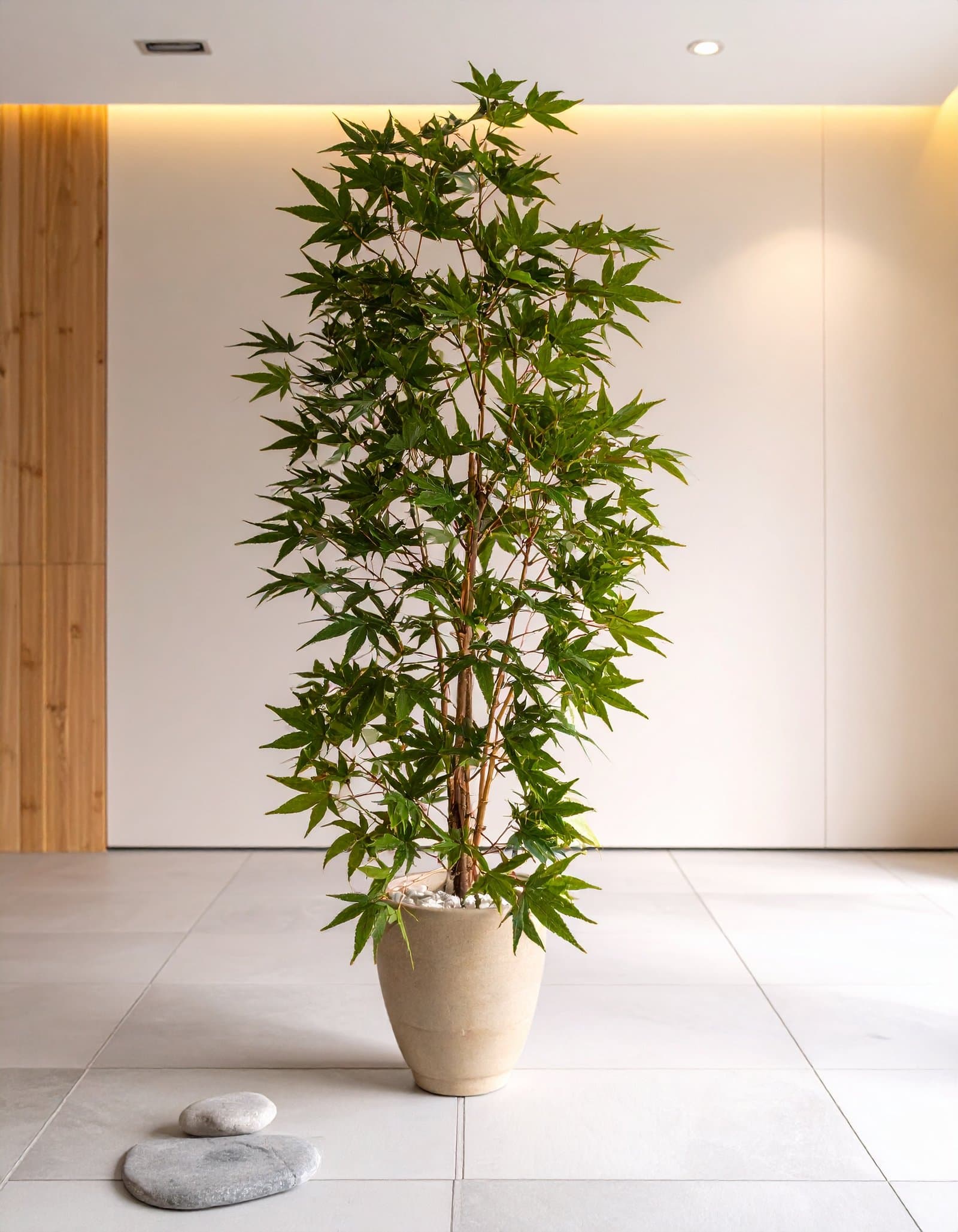 5 FT GREEN JAPANESE MAPLE TREE WITH 121 REAL TOUCH LEAVES.