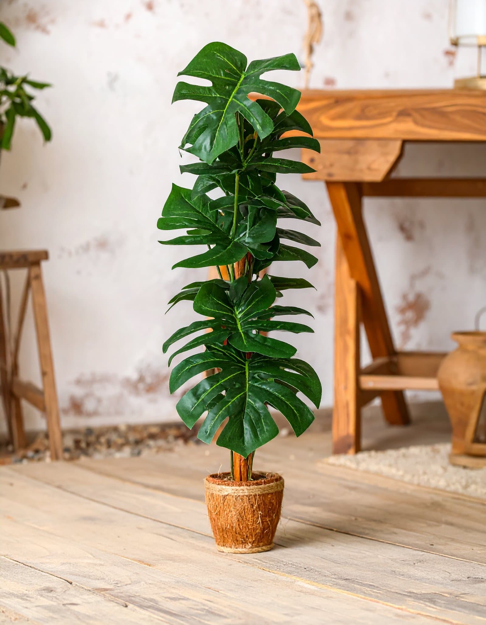5 Ft Monstera Coir Plant With 60 Real Touch Leaves H-150CM
