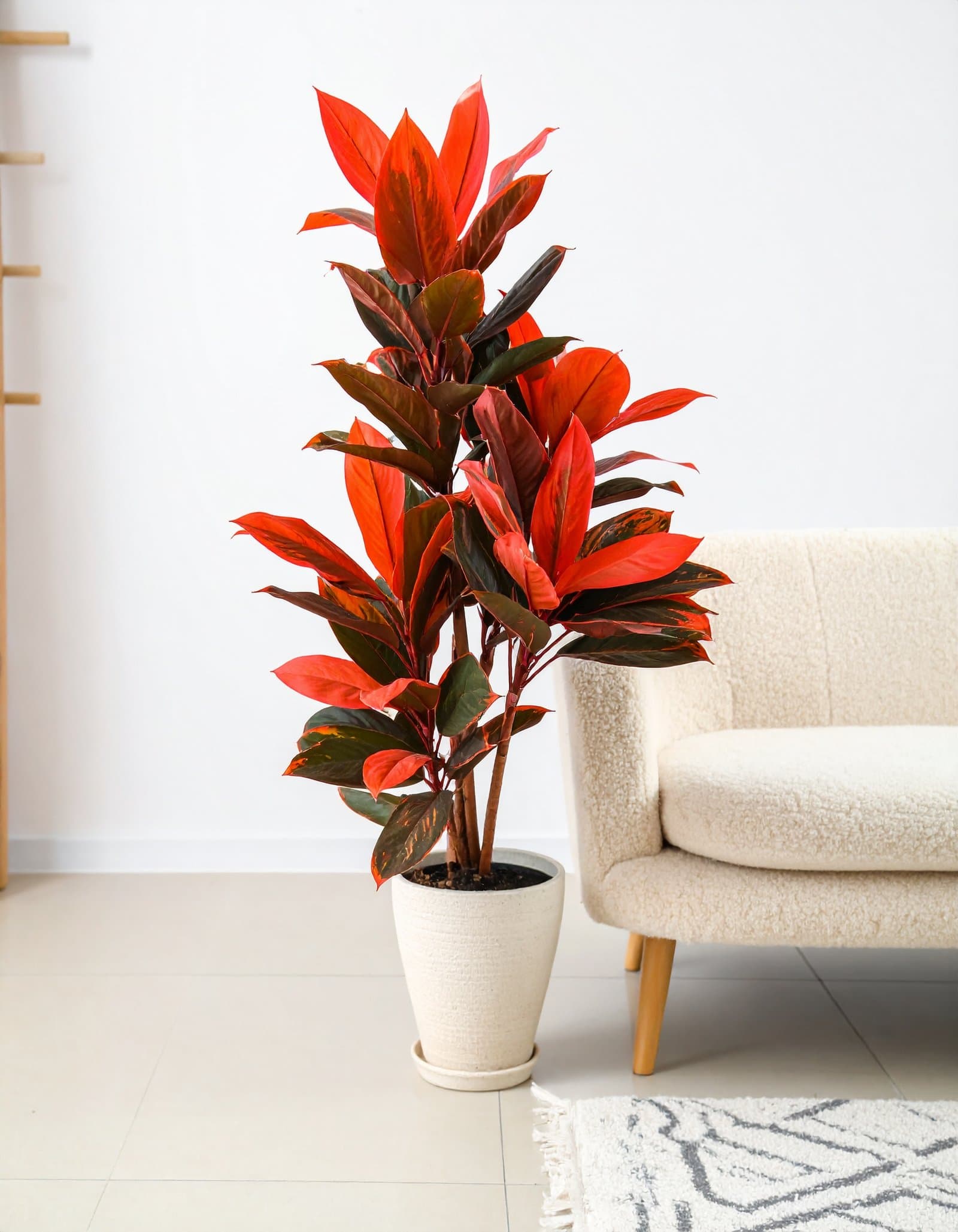 5 Ft Red Dracaena Plant With Real Touch Leaves H-150CM