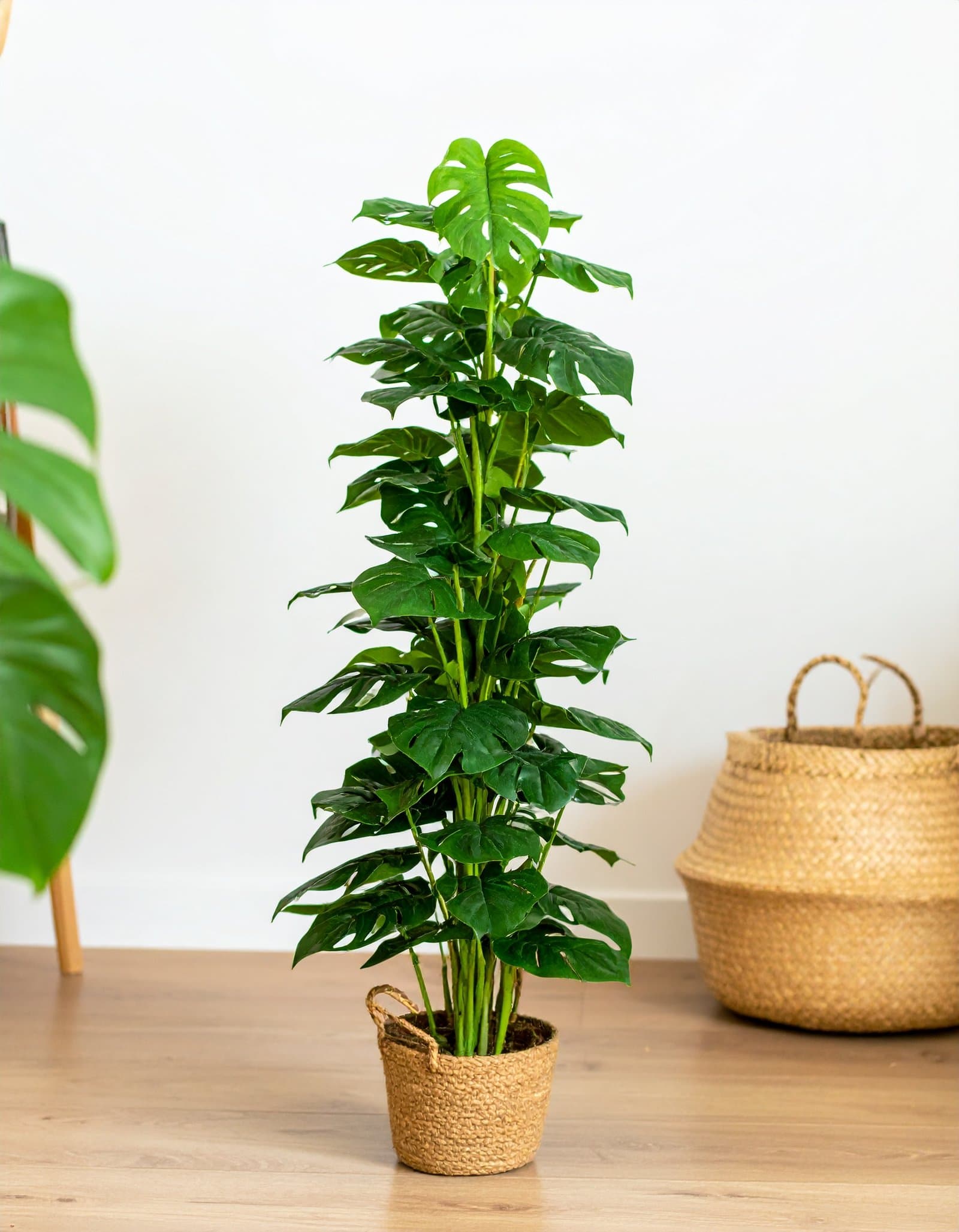 5 Ft Split Philo Coir Plant With 60 Real Touch Leaves H-150CM