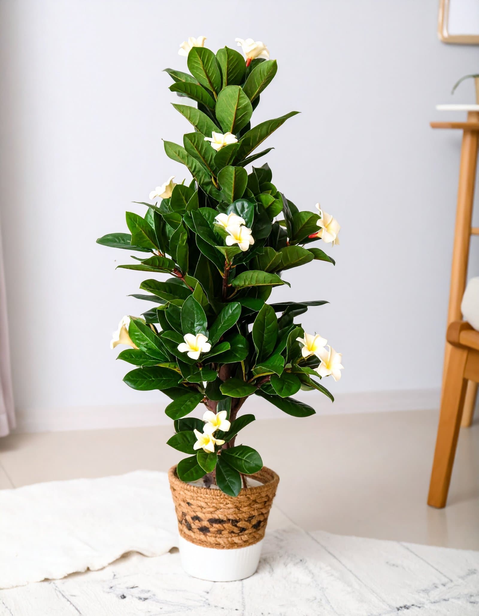6 Ft Frangipani Tree With Real Touch Leaves (Cream) H-180CM
