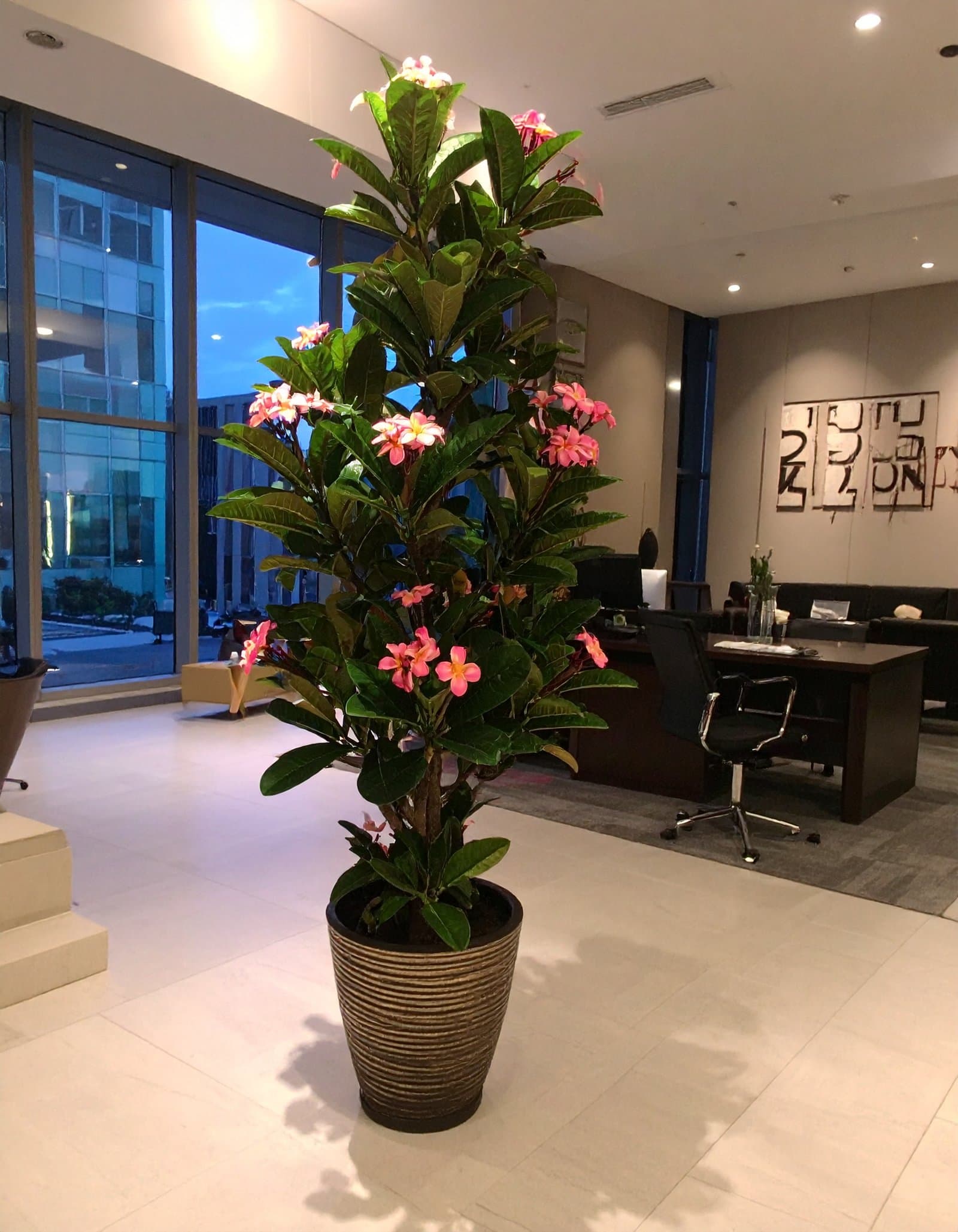 6 Ft Frangipani Tree With Real Touch Leaves (Pink) H-180CM