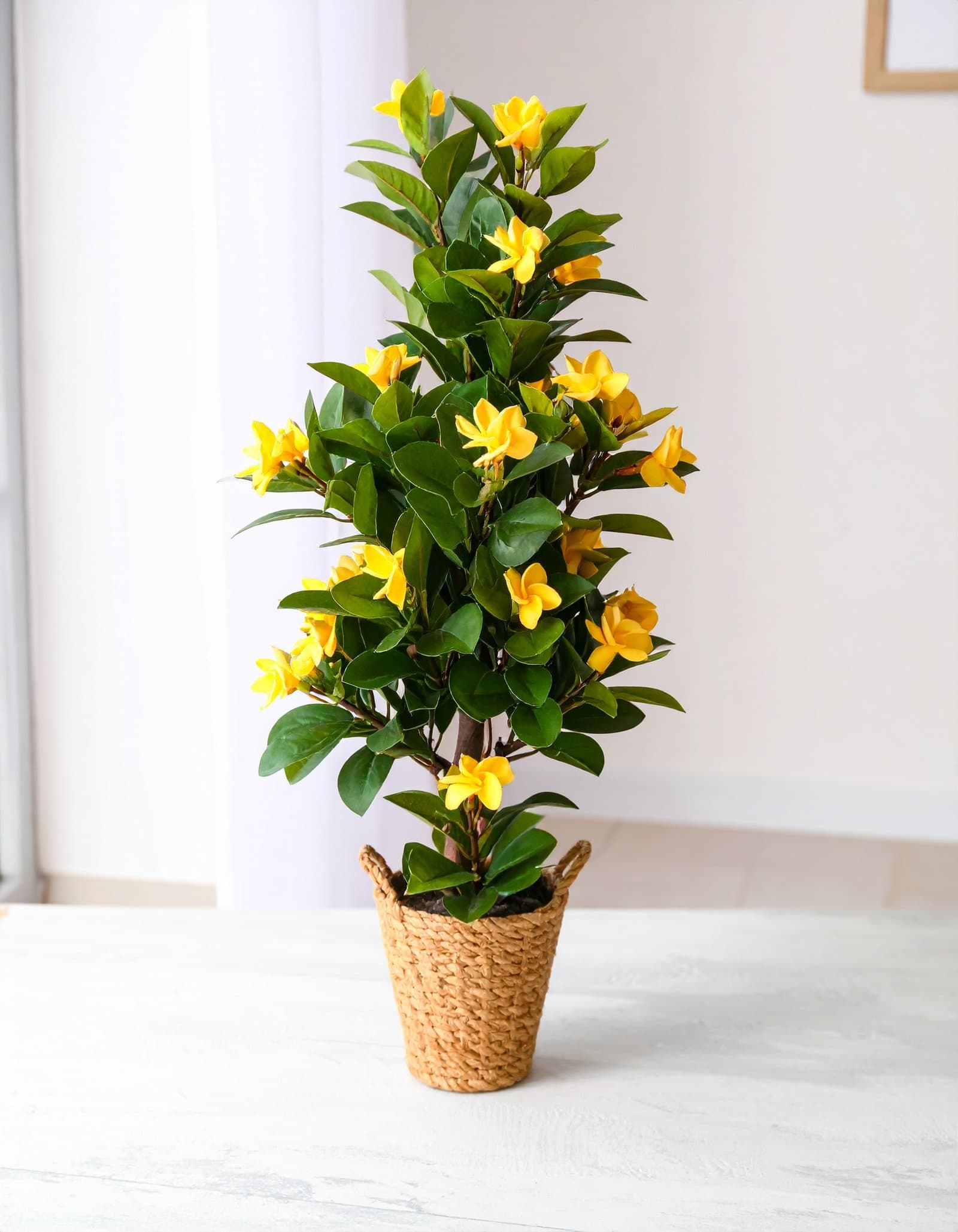6 Ft Frangipani Tree With Real Touch Leaves (Yellow) H-180CM