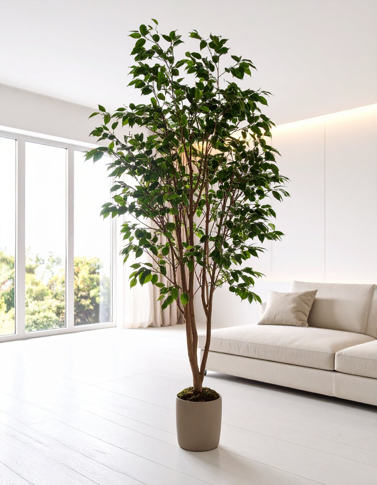 6 FT RADERMACHERA SINICA TREE WITH 1204 REAL TOUCH LEAVES.