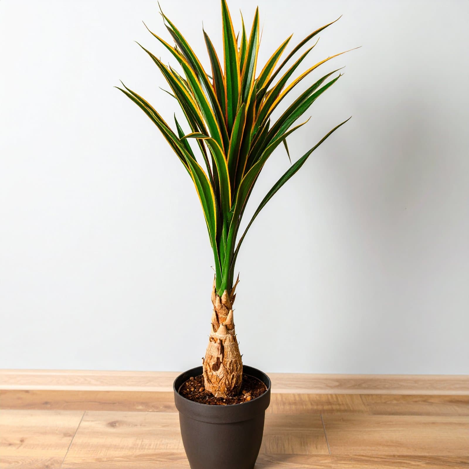 75″ 3 X 1 Dracaena Plant with Fibre Trunk (Green + Red) H-188CM