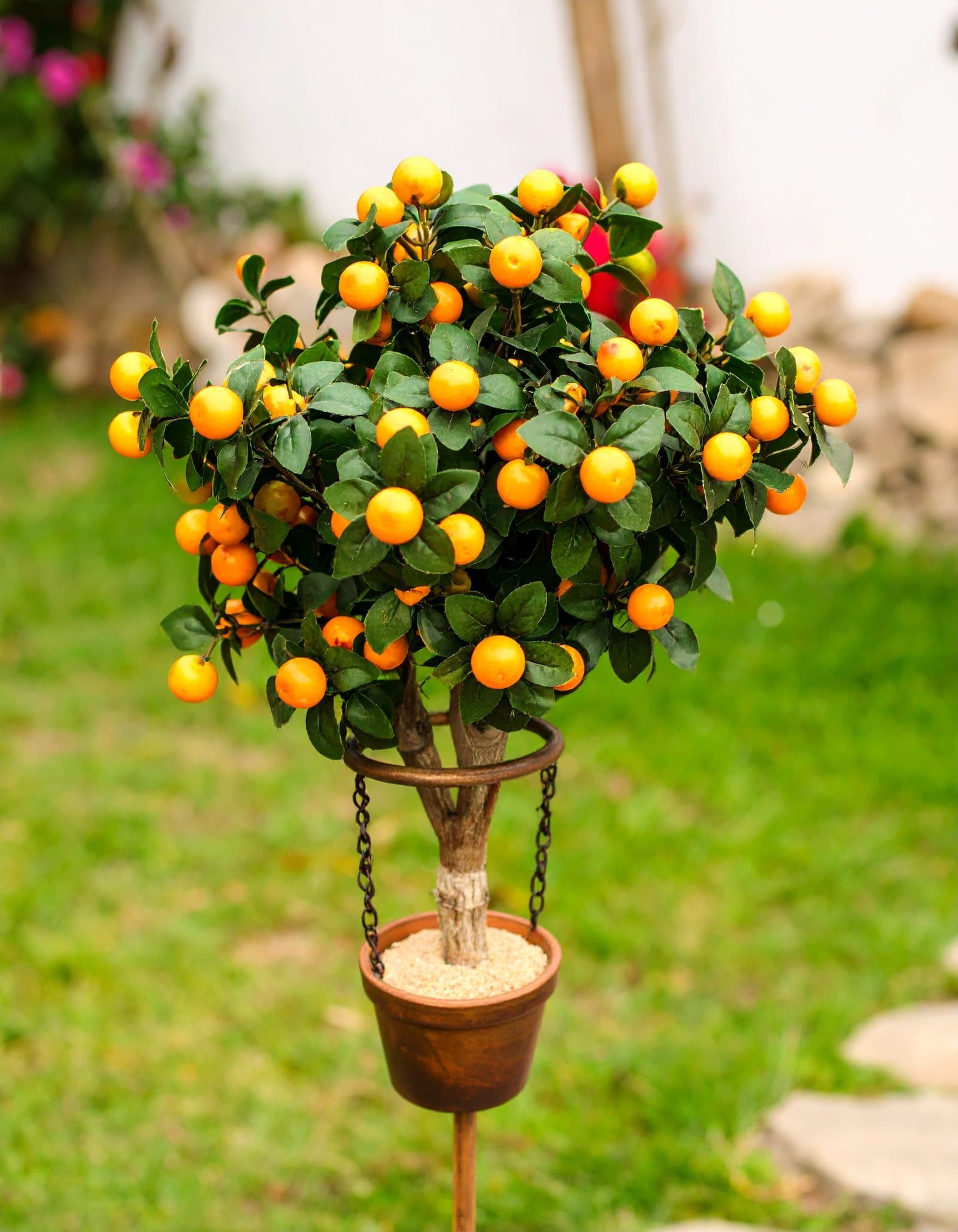 75CM Mini Orange Fruit Plant with 261 Leaves (H-90CM)