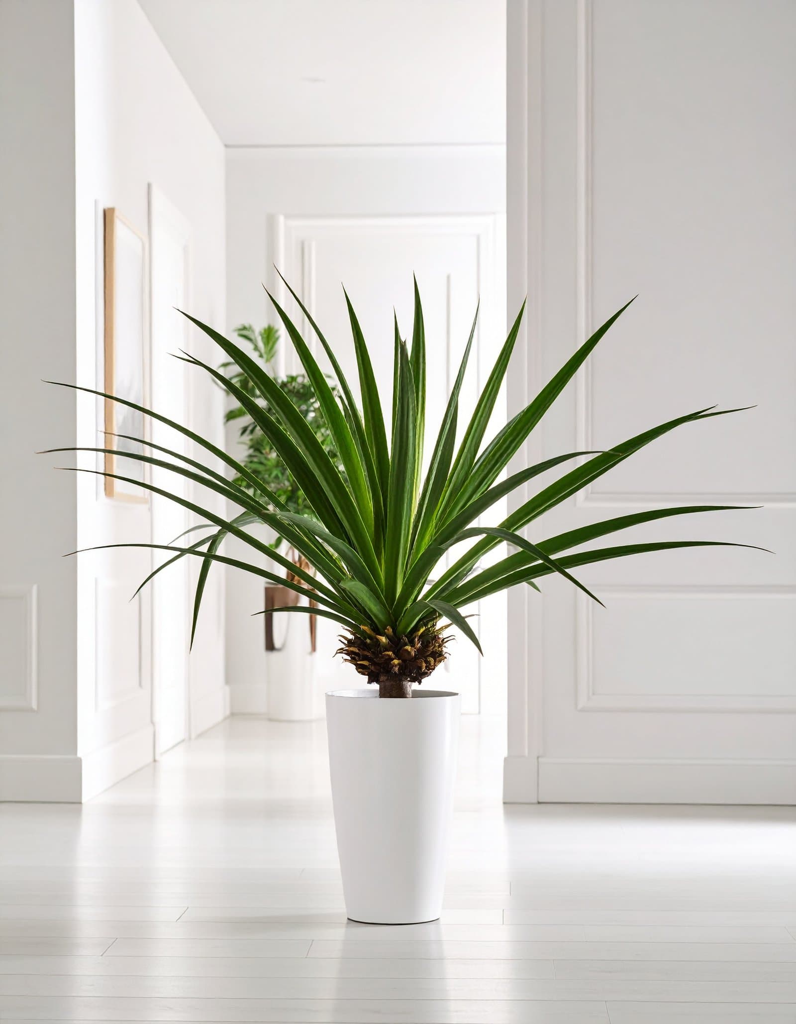 90 CM GREEN SLIM SCREWPINE PLANT WITH 28 LEAVES.