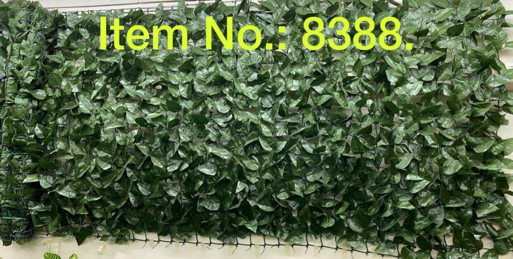 Green Money Plant Leaves Fence Roll (100X300CM)