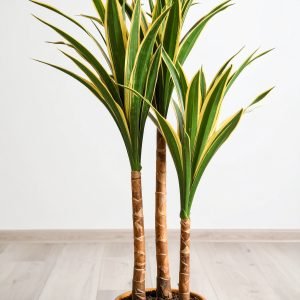 4 Ft 3 X 1 Dracaena Tree with Fibre Trunk (Green + Yellow) H-120CM