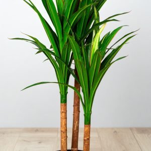 4 Ft 3 X 1 Dracaena Tree With Fibre Trunk (Green + Red) H-120CM