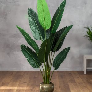 4 Ft 4 X 1 Traveller's Palm Tree With 8 Leaves H-120CM