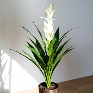 4 Ft Slim Dracaena Plant With White Dragon Flower H-120CM