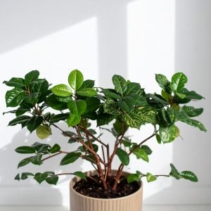 45 Cm 4 X 1 Real Touch Bush With 22 Leaves (4 Designs Mix)