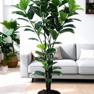 5 Ft 3 X 1 White Border Plant With 264 Leaves H-150CM