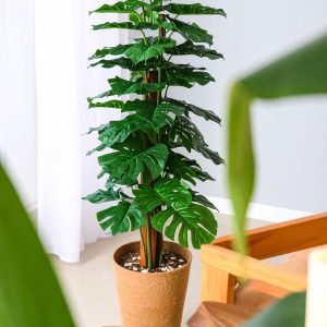 4 Ft Monstera Coir Plant With 48 Real Touch Leaves H-120CM