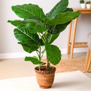 44" 4 x 1 Jumbo Real Touch Evergreen Leaves Plant H-110CM