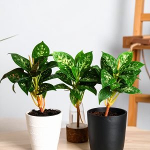 18'' Small 4 x 1 Plant With 25 Leaves (Set of 3 Designs) H-45CM