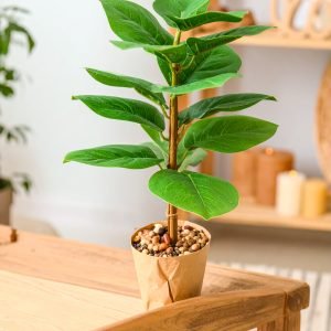 3 Ft Money Plant Coir Plant With 18 Real Touch Leaves (H-90CM)