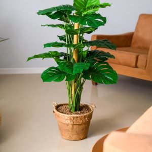 3 Ft Split Philo Coir Plant With 18 Real Touch Leaves H-90Cm