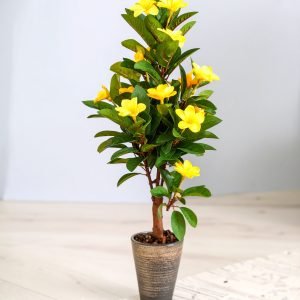 5 Ft Frangipani Tree With Real Touch Leaves (Yellow) H-150CM