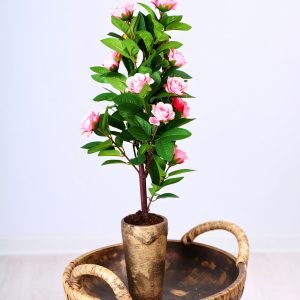 5 Ft Frangipani Tree With Real Touch Leaves (Pink) H-150CM