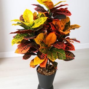 3 Ft 5 X 1 Plant With 125 Natural Touch Leaves (Croton) H -90Cm
