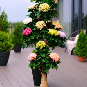 6.5 FT (195 cm) PEONY PLANT WITH REAL TOUCH LEAVES (Set of 6 Colours)